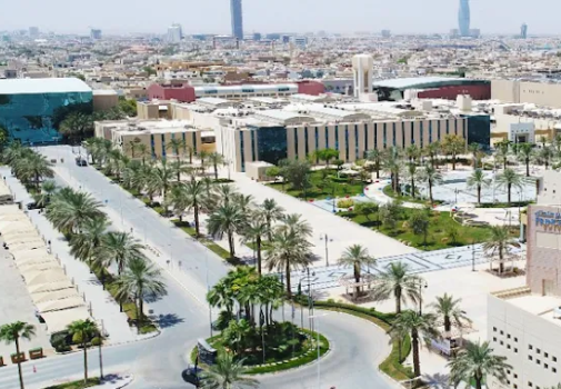 جامعة الأمير سلطان