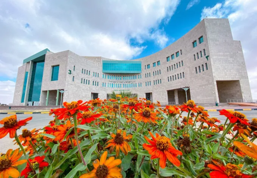 جامعة المجمعة