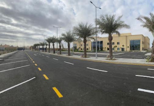 كلية الريادة للعلوم الصحية